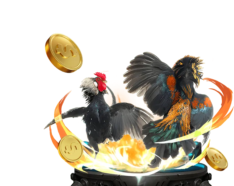 Đá gà Mỹ w88 zo